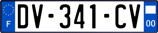 DV-341-CV