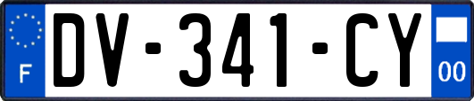 DV-341-CY