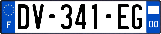 DV-341-EG