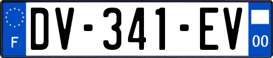 DV-341-EV