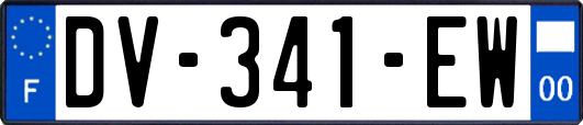 DV-341-EW