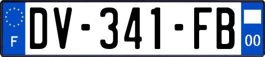 DV-341-FB