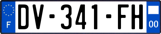 DV-341-FH