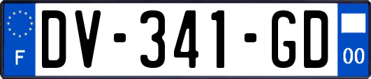 DV-341-GD