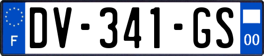 DV-341-GS