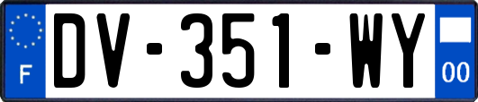 DV-351-WY