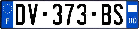 DV-373-BS