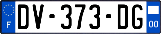 DV-373-DG