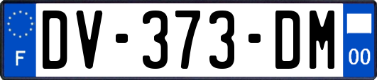 DV-373-DM