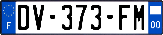 DV-373-FM