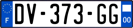 DV-373-GG