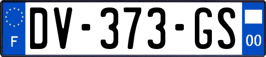 DV-373-GS