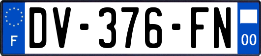 DV-376-FN