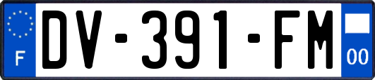 DV-391-FM