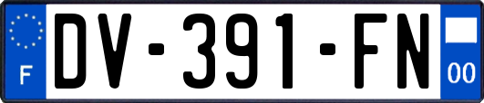 DV-391-FN