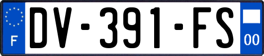 DV-391-FS