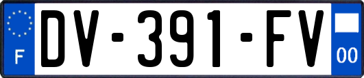 DV-391-FV