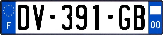 DV-391-GB