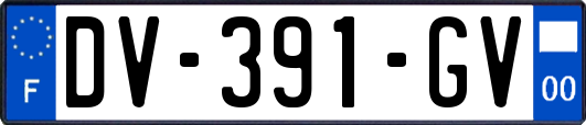 DV-391-GV