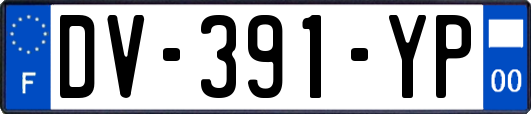 DV-391-YP