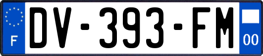 DV-393-FM