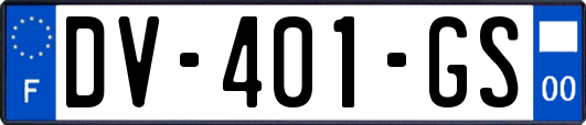 DV-401-GS