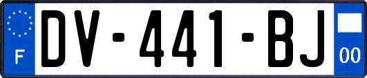 DV-441-BJ