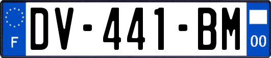 DV-441-BM