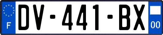 DV-441-BX