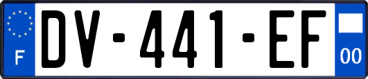 DV-441-EF