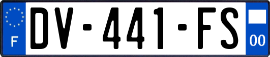 DV-441-FS