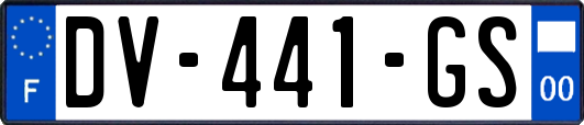 DV-441-GS