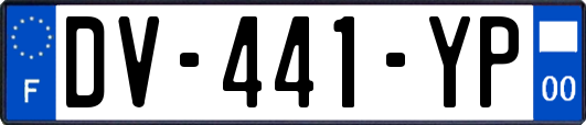 DV-441-YP