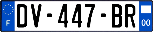 DV-447-BR