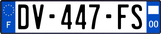 DV-447-FS