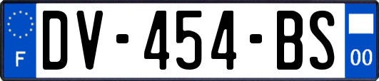 DV-454-BS