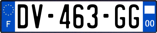 DV-463-GG