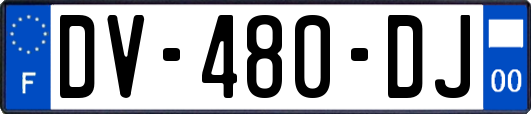 DV-480-DJ