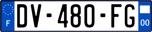 DV-480-FG