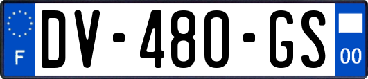 DV-480-GS