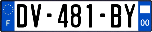 DV-481-BY