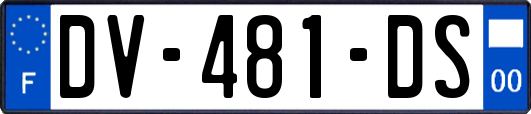 DV-481-DS