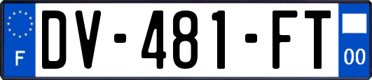 DV-481-FT