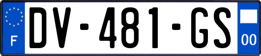 DV-481-GS