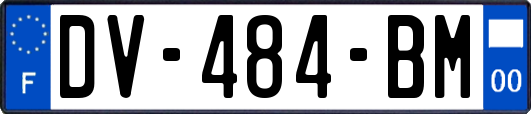 DV-484-BM