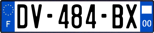 DV-484-BX