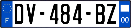 DV-484-BZ