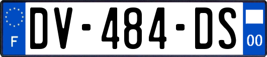 DV-484-DS