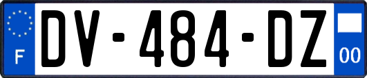 DV-484-DZ