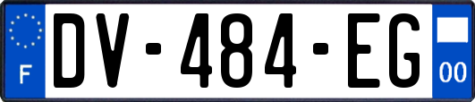 DV-484-EG